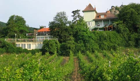 bild haus, © Heimburg Erich Ein Haus auf einem Hügel mit Weinreben im Vordergrund.