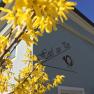 Frühling im Hotel zur Post, © (c) Katrin Feischl Frühling im Hotel zur Post, © (c) Katrin Feischl