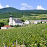Freigut Thallern, © Freigut Thallern Freigut Thallern, © Freigut Thallern