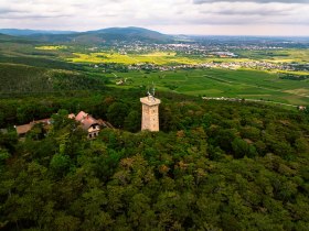 Harzbergturm, &copy; Wienerwald Tourismus