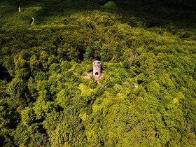 Wilhelmswarte _ Die T&uuml;rme des Wienerwaldes, &copy; Wienerwald Tourismus