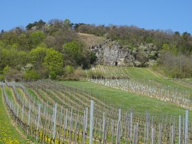 Rundwanderung Anninger Schutzhaus, &copy; Wienerwald