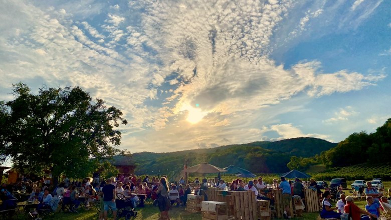 032ef26b-49cb-4f2b-996e-3de88b6e5441, © Goldknöpferl