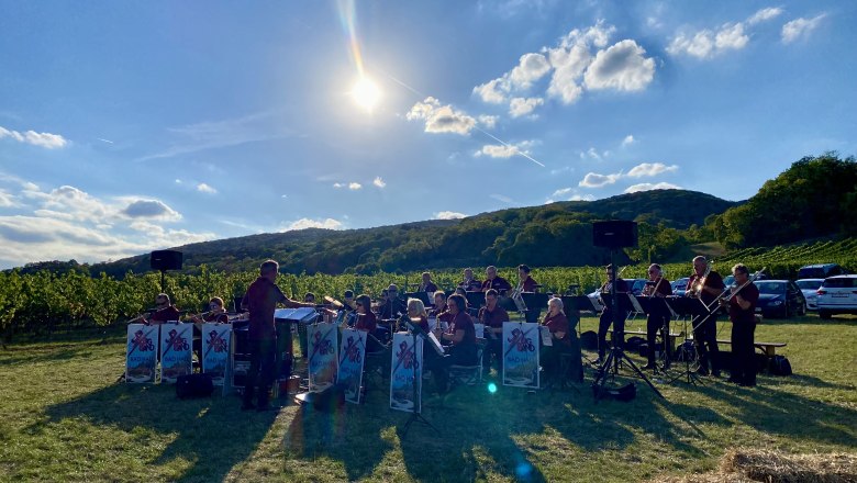 IMG_0511, &copy; Goldkn&ouml;pferl