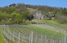 Rundwanderung Anninger Schutzhaus, &copy; Wienerwald