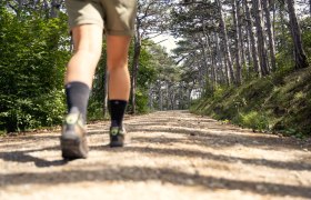 Wandern im Wienerwald, &copy; Wienerwald / Studio Kerschbaum