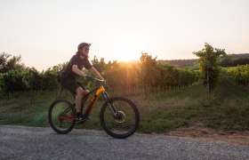 MTB im Wienerwald, &copy; Wienerwald Tourismus/TUES GmbH