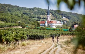 Weingartenradweg, &copy; Nieder&ouml;sterreich Werbung / Hauke Dressler