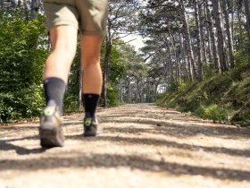 Wandern im Wienerwald, &copy; Wienerwald / Studio Kerschbaum