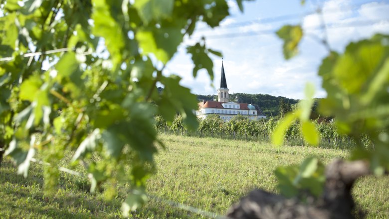 Weinort Gumpoldskirchen, © Tourismusbüro Gumpoldskirchen