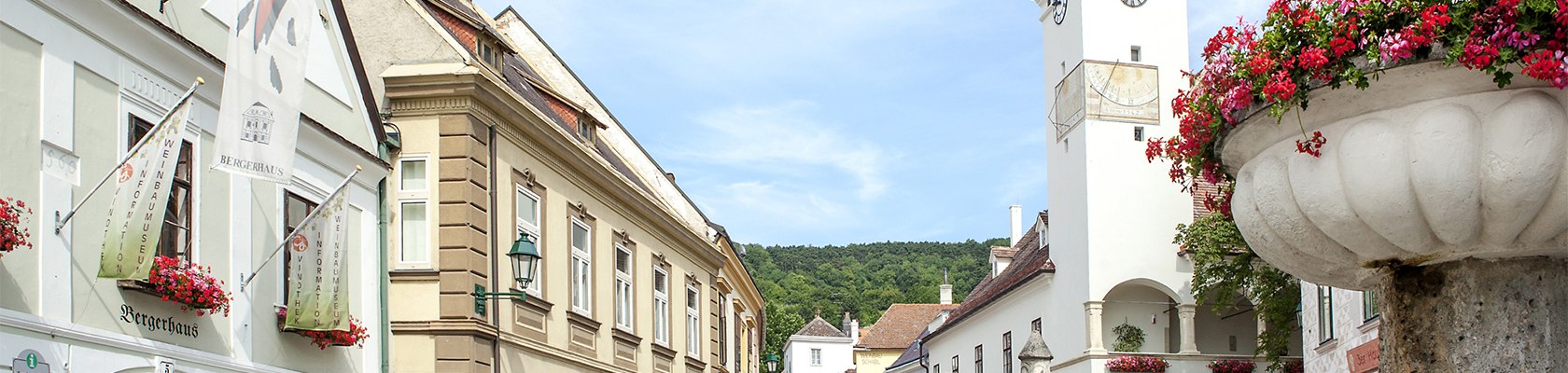 Panorama Ort, © Tourismusbüro Gumpoldskirchen