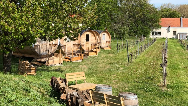 Mitten im Weingarten, &copy; Peter Rohm